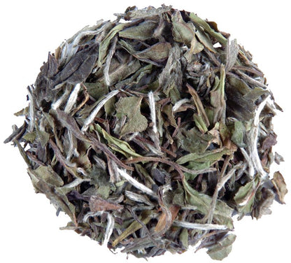 Bai Mudan China White Tea
